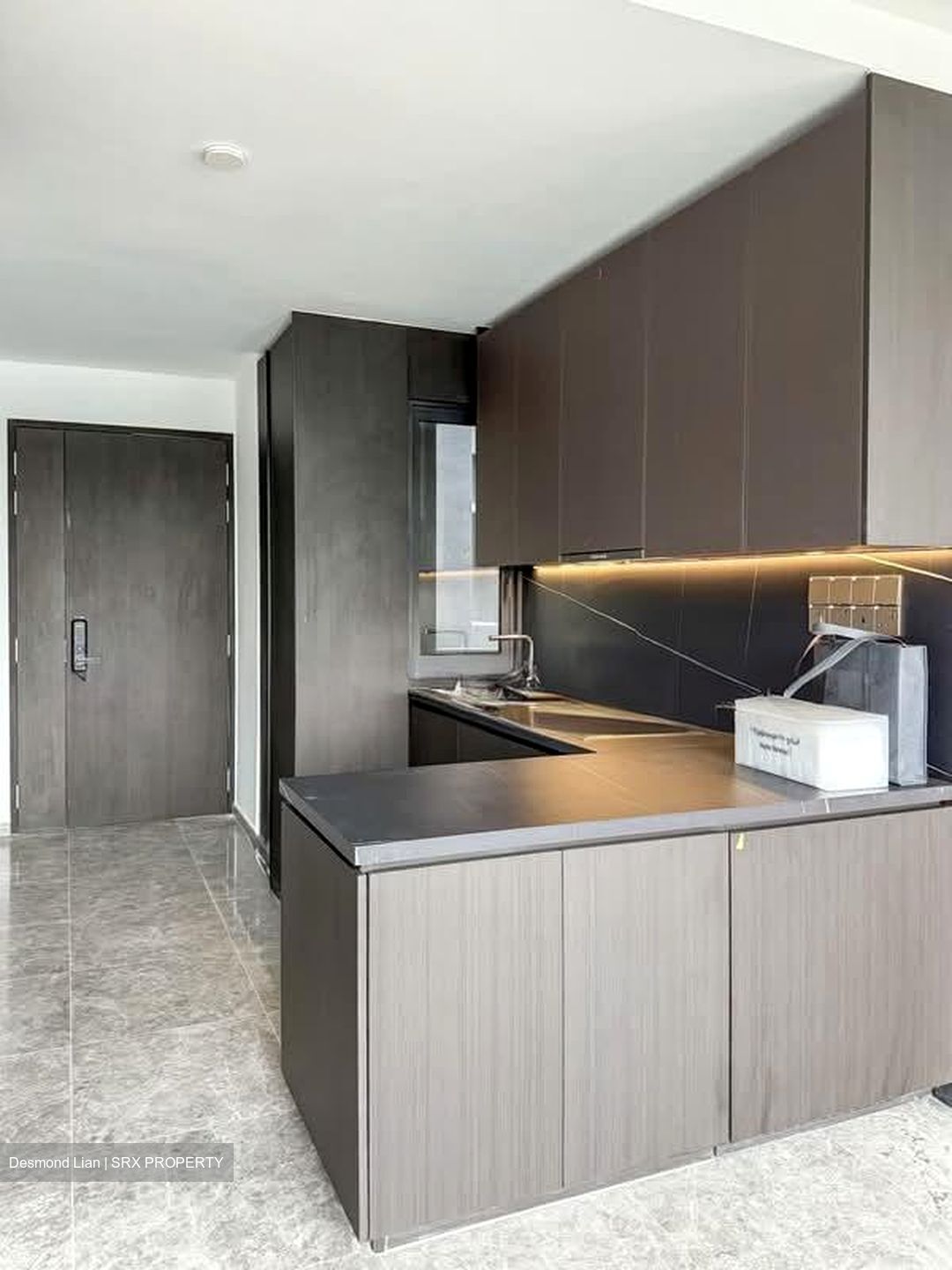 Hyll On Holland (D10), Condominium #590767491